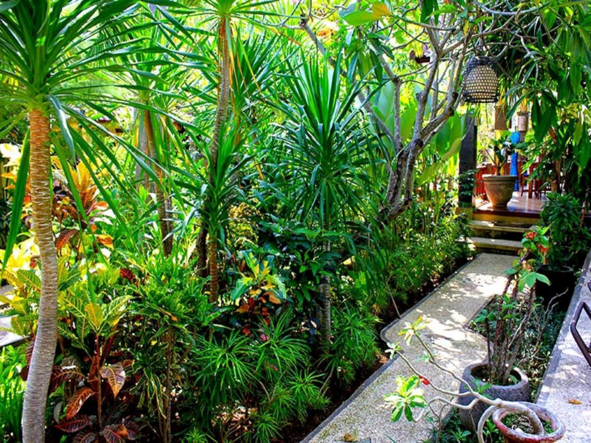 Alami Resort, Restaurant And Dive Center Amed  Ngoại thất bức ảnh